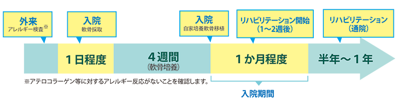 治療の流れ