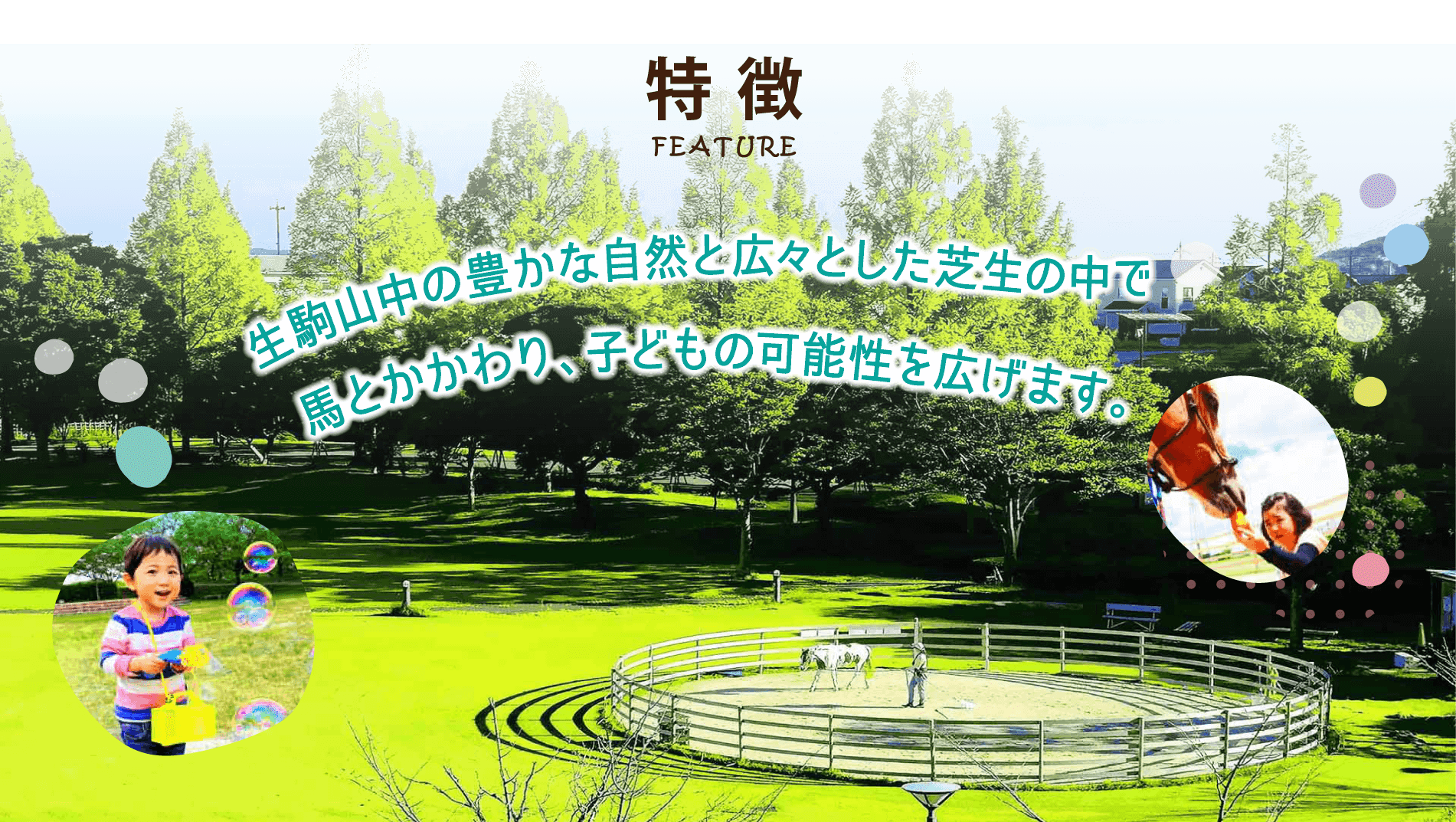 生駒山中の豊かな自然と広々とした芝生の中で馬と関わり、子どもの可能性を広げます