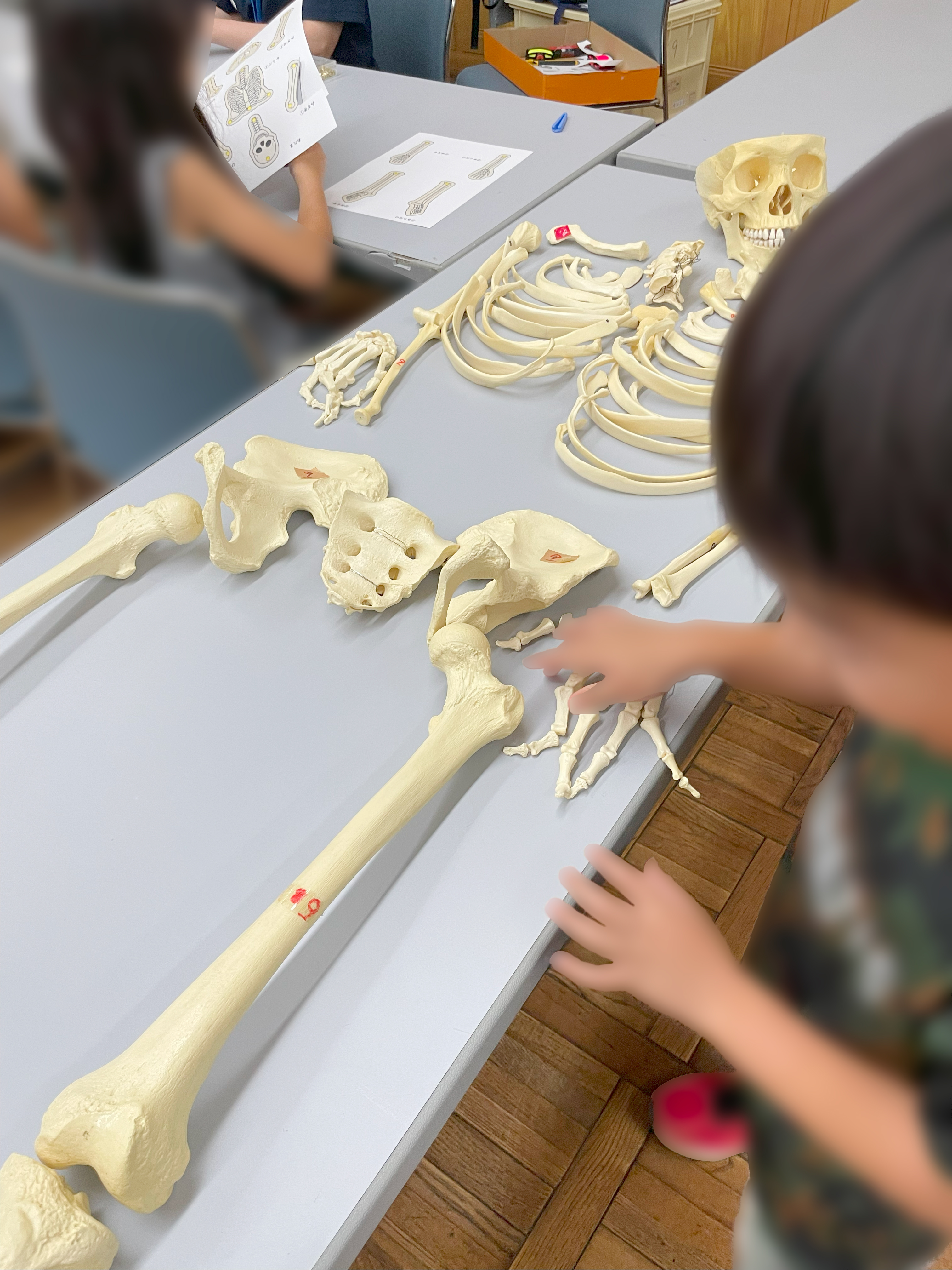 夏休み子ども教室