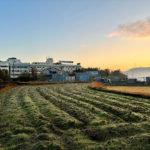 美しい田原地域の朝