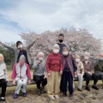 お花見ドライブ